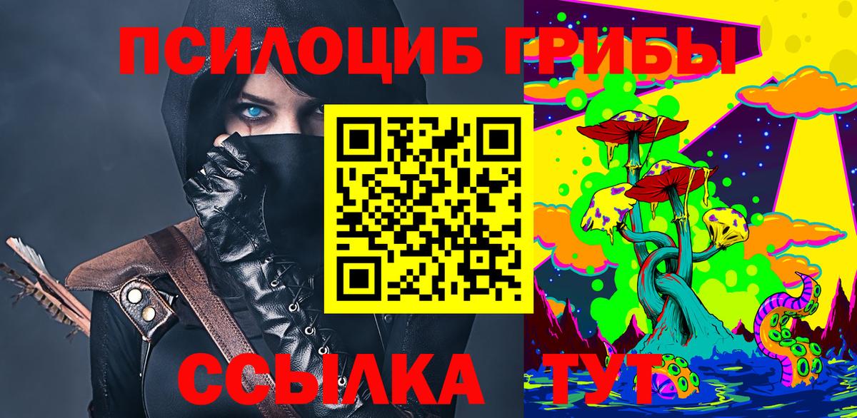 как найти   Псилоцибиновые грибы Cubensis  Вход с VPN  Псилоцибиновые грибы мухоморы  Алексин 